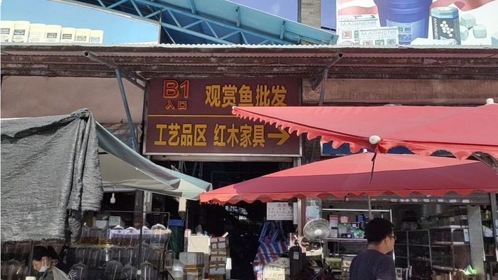 海南水族馆观赏鱼批发市场在哪（海南水族馆观赏鱼批发市场） 海水鱼 第1张