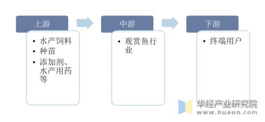 观赏鱼产业链（国际合作观赏鱼产业的发展趋势）