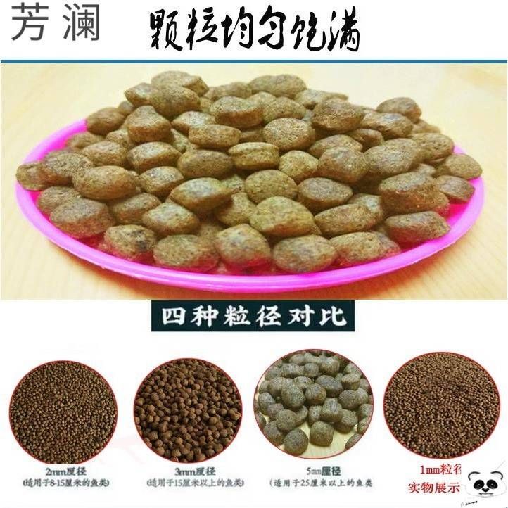 观赏鱼饲料能钓鱼吗 马来西亚猫山王榴莲 第1张