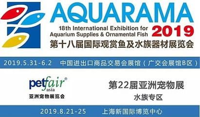 国际观赏鱼及水族器材展览会（2017中国国际观赏鱼及水族器材展览会） 一眉道人鱼 第3张