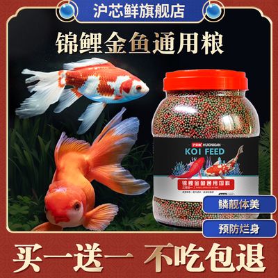 白色观赏鱼能喂增色饲料吗有毒吗视频（白色观赏鱼可以喂增色饲料吗） 铁甲武士 第1张