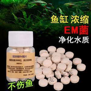 yee硝化细菌好用吗（yee牌硝化细菌在市场上的表现得到了许多用户的认可）