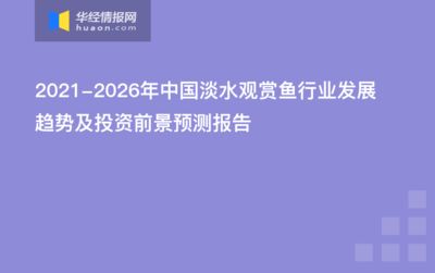 观赏鱼行业的发展方向和趋势（中国观赏鱼市场的竞争格局全球观赏鱼市场的竞争格局）