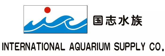 国志水族（国志水族用品供应有限公司） 豹纹夫鱼苗 第4张