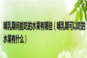 观赏鱼能吃水果吗（如何自制观赏鱼饲料） 红尾平克鱼 第4张