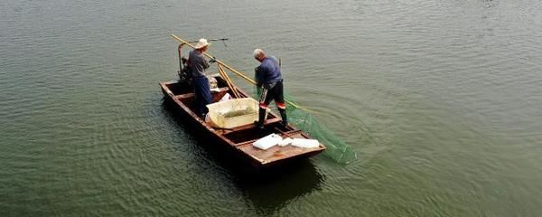 观赏鱼浮头怎么救（观赏鱼浮头急救处理方法）