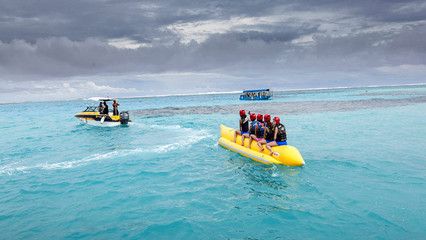 海南海水观赏鱼好养吗视频（海水观赏鱼的养护秘籍）