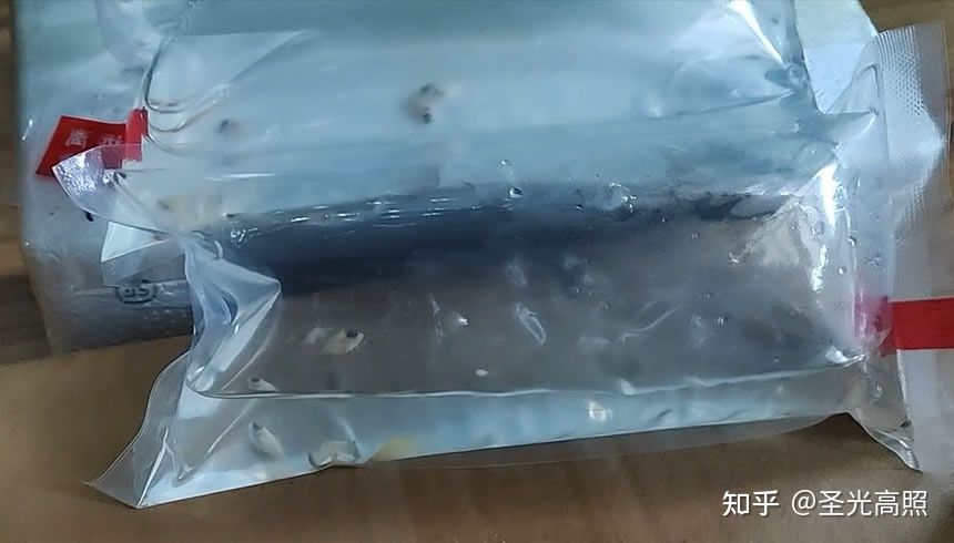 观赏鱼能从网上买吗知乎（水族论坛探秘水族论坛探秘水族论坛探秘水族论坛探秘） 水族品牌 第3张