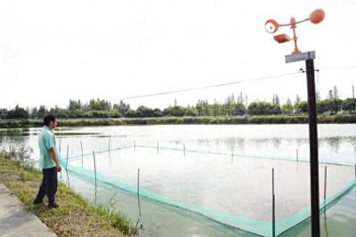 海宁观赏鱼养殖场（海宁市观赏鱼养殖场） 鱼缸等水族设备 第1张