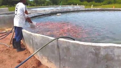 海宁观赏鱼养殖场（海宁市观赏鱼养殖场） 鱼缸等水族设备 第3张