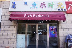 宝鱼乐专卖店（宝鱼乐品牌怎么样）