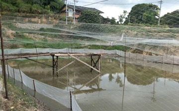 户外观赏鱼池防鸟措施（户外观赏鱼池的防鸟措施包括使用防鸟措施以作为天然屏障）