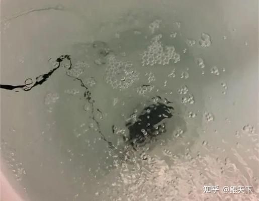 龙鱼缸滤材放什么最好呢视频（在龙鱼缸滤材中加入海绵或滤棉，对水质有什么影响？） 水族问答 第3张