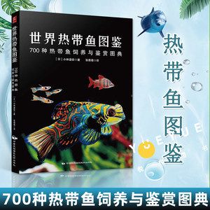 观赏鱼类养殖与鉴赏（观赏鱼的养殖技术） 国产元宝凤凰鱼 第3张