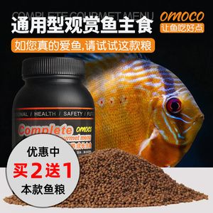 海鱼观赏鱼怎么样喂食（海水观赏鱼的喂食方法）