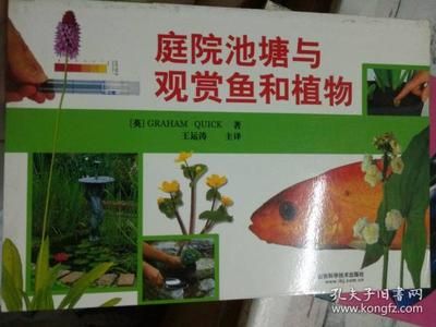 观赏鱼属于动物吗还是植物（观赏鱼属于动物界，而不是植物界） 龙鱼专用灯 第1张