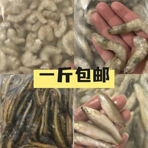 北水鱼食厂（关于北水鱼食的一些信息） 广州水族批发市场 第2张