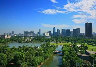 柏卡乐和森森哪个加热棒更好（柏卡乐和森森哪个好） 红龙鱼鱼粮饲料 第1张