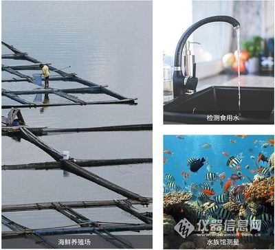 观赏鱼水族馆怎么样养活（如何在水族馆中养护观赏鱼）