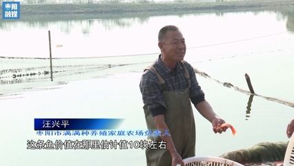 湖北地区适合养什么观赏鱼品种（湖北地区适合养什么鱼）