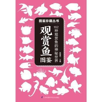 观赏鱼店铺简介范文（莒县鱼盟旺铺观赏鱼店） 白化火箭鱼 第2张