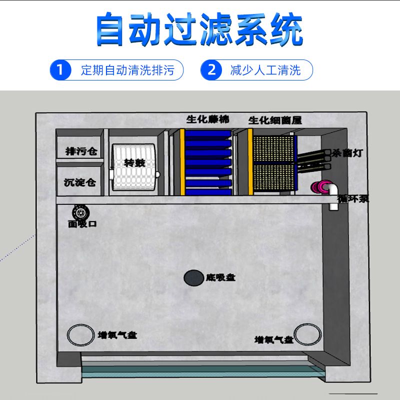 户外鱼池过滤设备（户外鱼池过滤设备的选择） 熊猫异形鱼L46 第1张