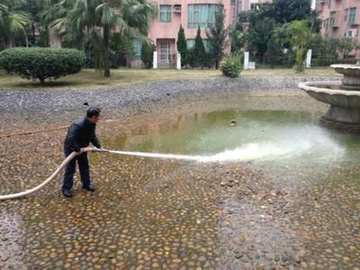 户外观赏鱼池消毒方法（户外观赏鱼池消毒对于保护鱼类健康至关重要以下几种常见的消毒方法） 祥龙进口元宝凤凰鱼 第1张