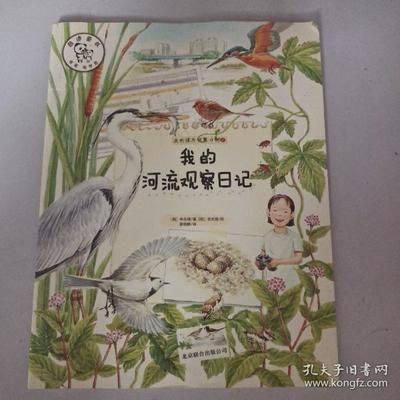 观赏鱼观察日记（关于观赏鱼观察日记的相关知识） 红龙鱼鱼粮饲料 第3张