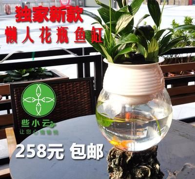 定做金鱼缸多少钱一套啊（定做金鱼缸价格） 定时器/自控系统 第4张