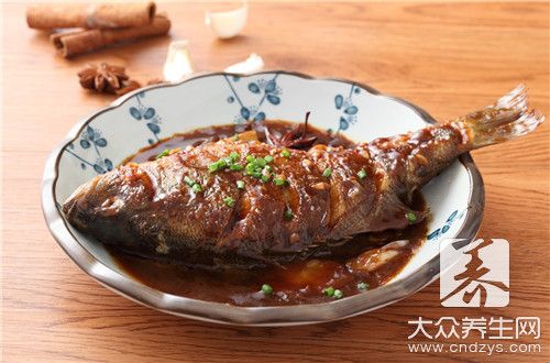 观赏鱼小鲨鱼吃什么（观赏鱼小鲨鱼的饮食习惯） 玫瑰银版鱼 第4张