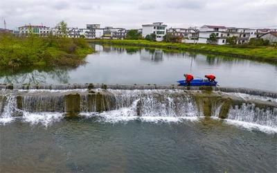 放鱼养水生态护河（放鱼养水是一种既简单又有效的生态治理方式） 爱龙仕 第3张