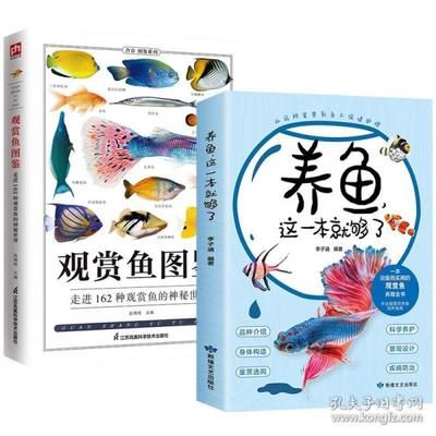 红龙鱼上色过程（关于红龙鱼上色的问题） 水族问答 第4张