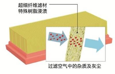 过滤滤材多久换一次（过滤滤材的更换及更换周期） 黄金梦幻雷龙鱼 第2张