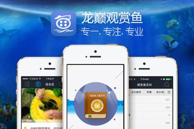 观赏鱼app有哪些（与观赏鱼app相关的推荐：与观赏鱼app相关的推荐）