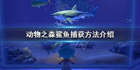 动森钓鲨鱼（《动物森友会》动森钓鱼技巧大揭秘动森钓鱼技巧大揭秘） 三间鼠鱼苗 第3张