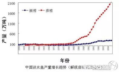 淡水鱼最贵的是什么鱼（中国十大名贵鱼类） 水族周边 第1张