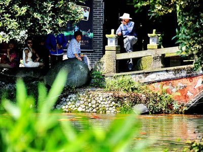 都江堰观赏鱼市场价格（都江堰市观赏鱼市场价格） 非洲象鼻鱼 第1张