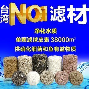 NO1硝化细菌（硝化细菌是一类专性好氧的细菌） 硝化细菌 第2张