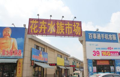 花都水族批发市场（广州花都区水产品批发市场）