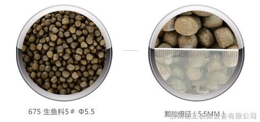 观赏鱼饲料生产厂家有哪些公司（观赏鱼饲料生产厂家） 全国观赏鱼市场 第4张