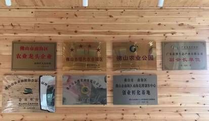 龙鱼和萨伊蓝能混养吗图片大全（混养龙鱼和萨伊蓝混养时水质要求有什么特别之处吗） 水族问答 第2张