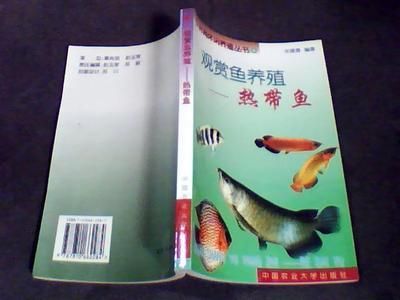 都市卖观赏鱼的小说有哪些（海洋文学与生态保护意识海洋文学与生态保护意识海洋文学） 森森鱼缸 第4张