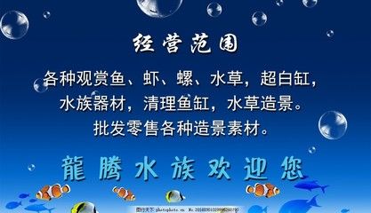 观赏鱼公司经营范围有哪些（上海万金观赏鱼养殖有限公司） 祥龙水族护理水 第1张