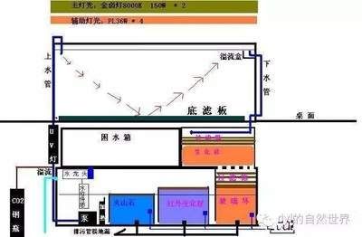 底滤滤材摆放顺序（底滤与上滤的区别与优势）