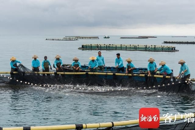 海南海水观赏鱼养殖技术（海水观赏鱼养殖技术） 帝王三间鱼 第3张