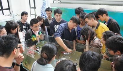 观赏鱼培训学校（观赏鱼养殖培训学校招生简章） iwish爱唯希品牌鱼缸 第1张