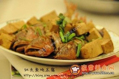 红头鱼炖豆腐（红头鱼炖豆腐的营养价值） 鱼缸清洁用具 第3张