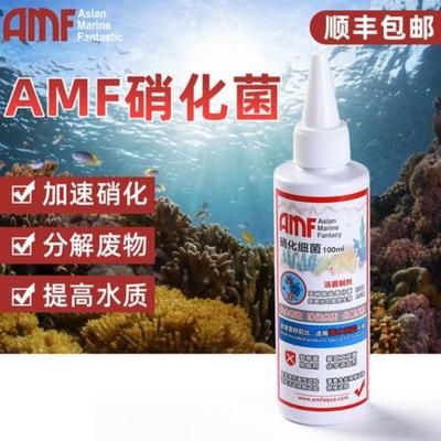 AMF硝化细菌（360doc个人图书馆硝化细菌的四大特点）