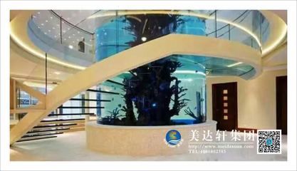 观赏鱼水族馆设计图（观赏鱼水族馆设计图可以帮助您更好地规划和设计） 水族品牌 第1张