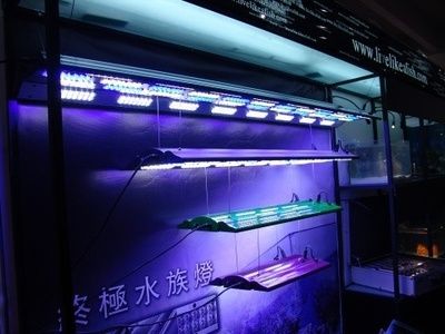 国外水族品牌（水族箱的发展历程）